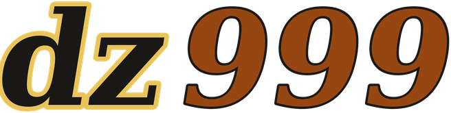 dz999 logo